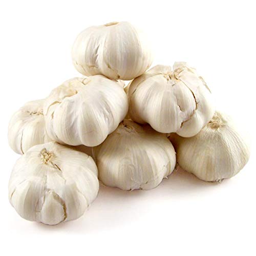 Garlic (Big)